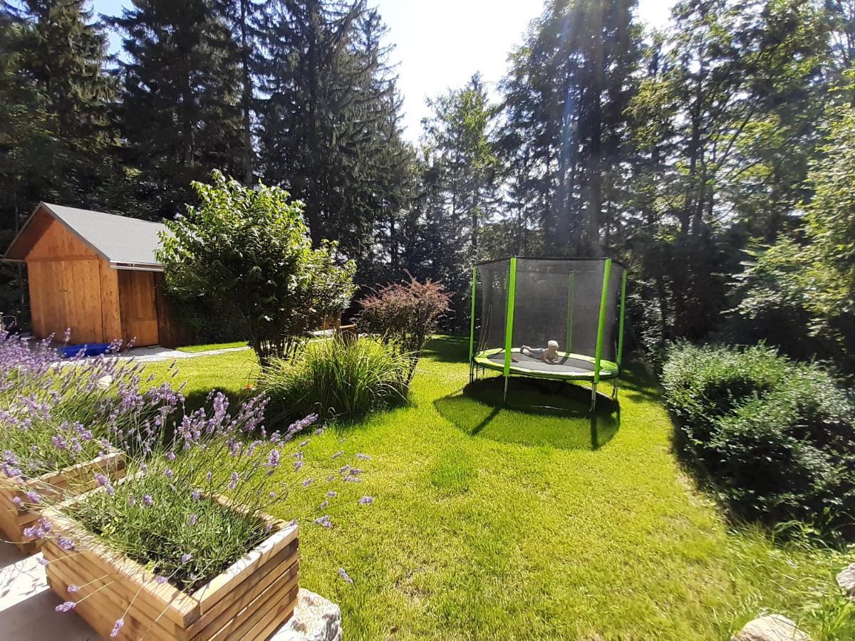 Apartamenty Przy Swierku Szklarska Poręba Exterior foto