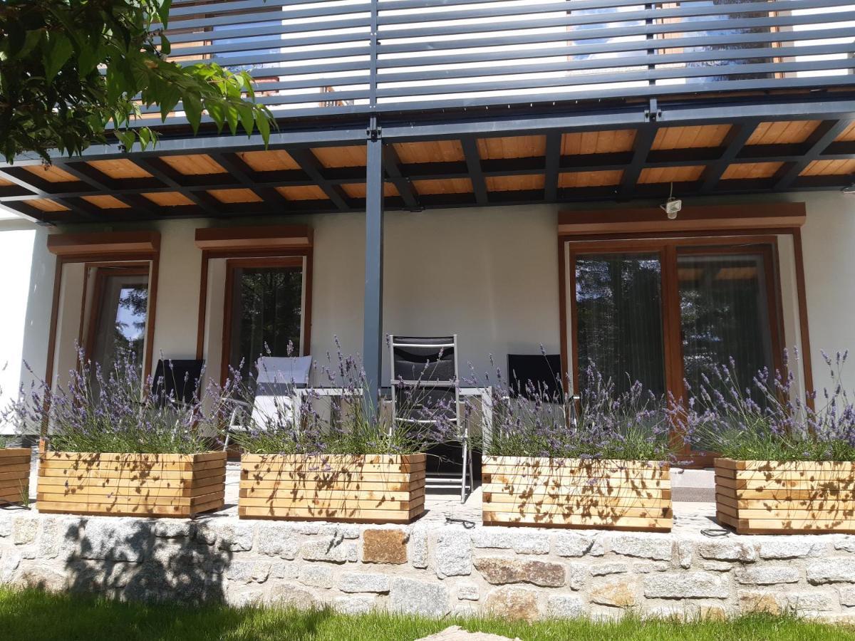 Apartamenty Przy Swierku Szklarska Poręba Exterior foto