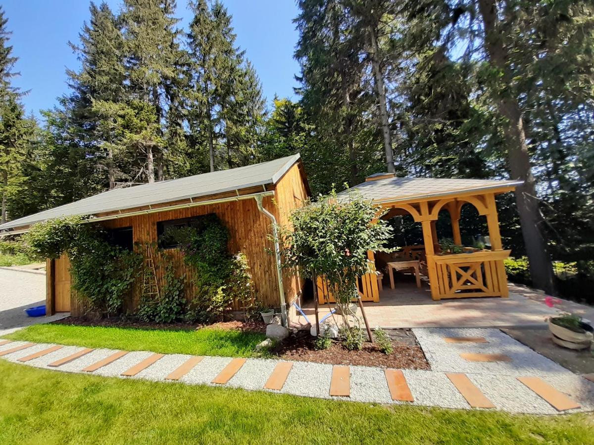 Apartamenty Przy Swierku Szklarska Poręba Exterior foto