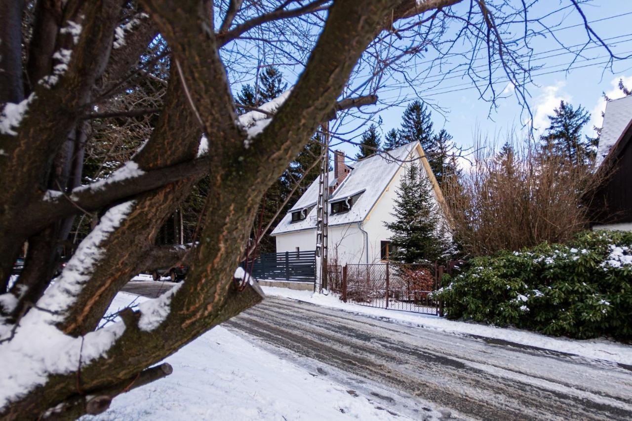 Apartamenty Przy Swierku Szklarska Poręba Exterior foto